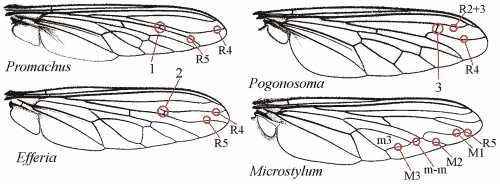 Fig. 9: Flügel, Sonderfälle